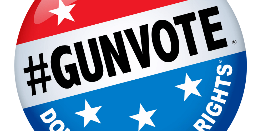 GUNVOTE