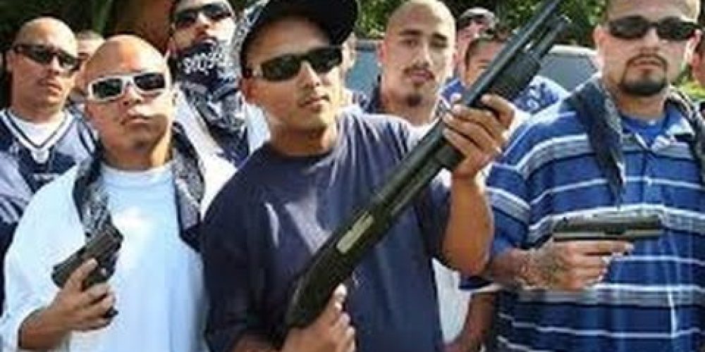 Gangs with Guns