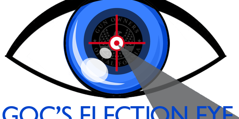 electioneye (003)
